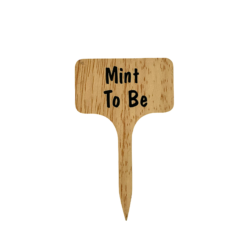 Plant Sign - Mint To Be