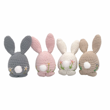 Load image into Gallery viewer, Piper Bunny Crochet Toy with Flower Embroidery
