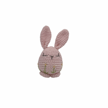 Load image into Gallery viewer, Piper Bunny Crochet Toy with Flower Embroidery
