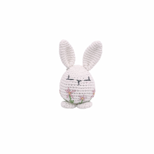 Load image into Gallery viewer, Piper Bunny Crochet Toy with Flower Embroidery
