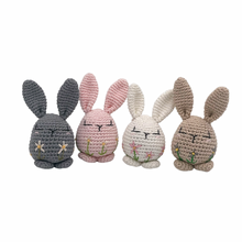 Load image into Gallery viewer, Piper Bunny Crochet Toy with Flower Embroidery
